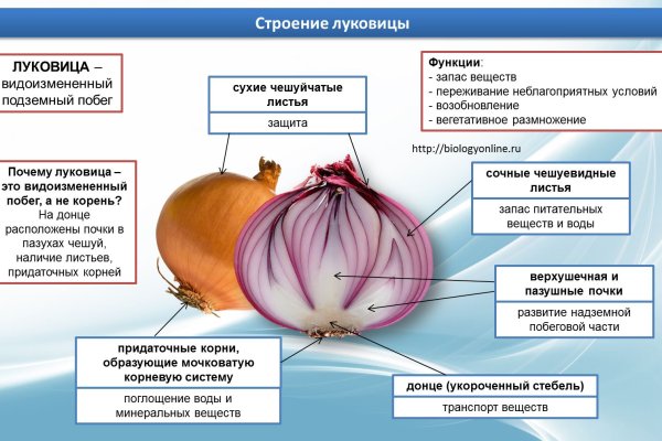 Kraken рабочая ссылка 2025