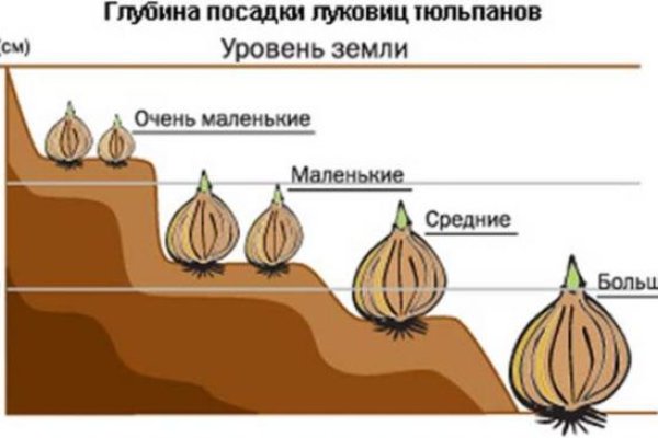 Кракен новое зеркало