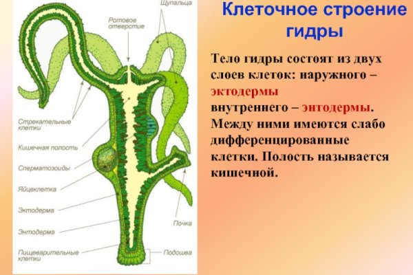 Ссылка на даркнет в тор