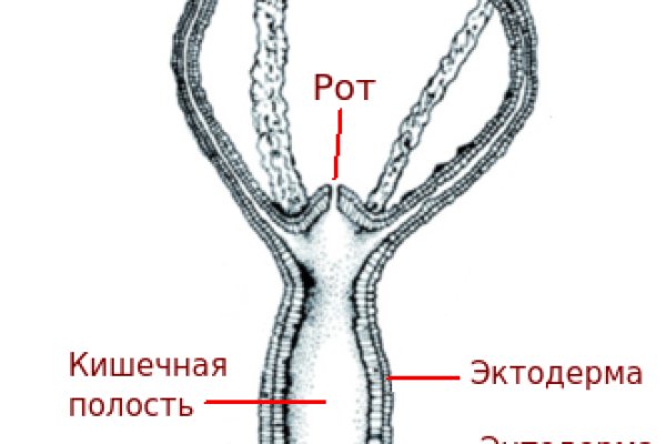 Kra43cc
