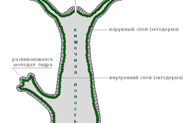 Кракен ссылка зеркало