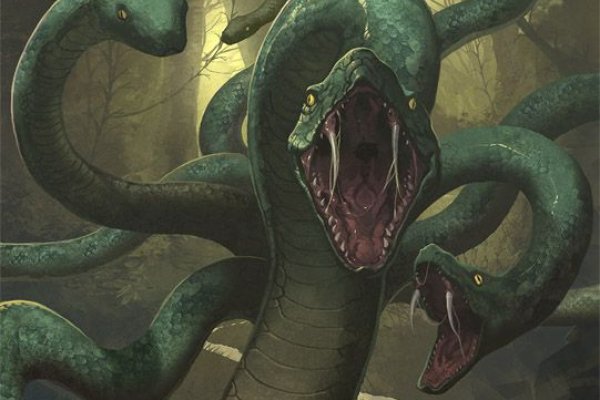 Kraken 13 at