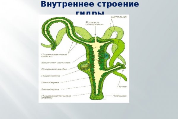 Kra33.at