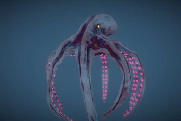 Kraken19 at