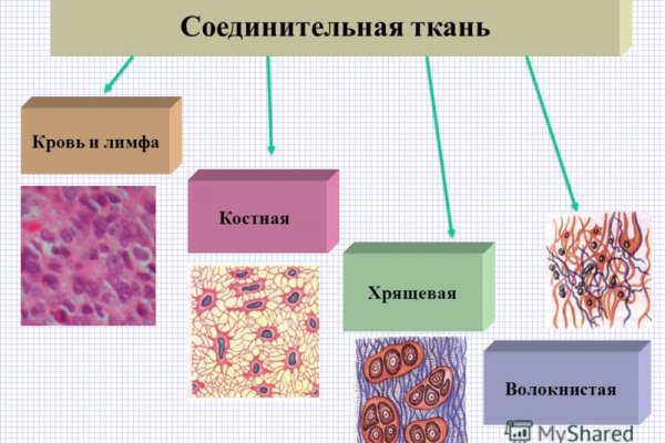 Kraken площадка