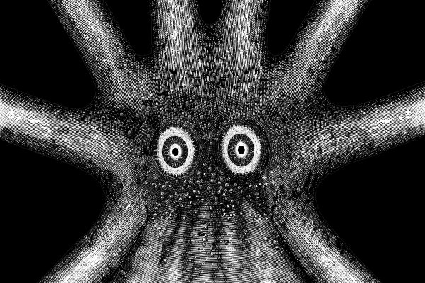 Кракен krakens13 at