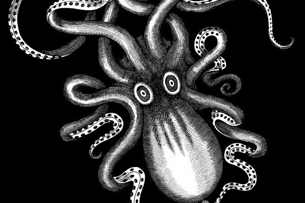 Kraken зеркало krakentor site