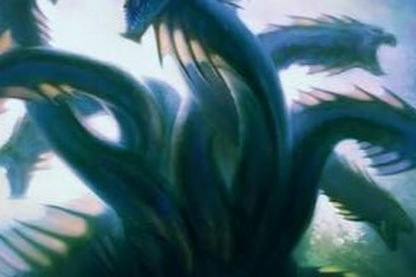 Kraken kraken link24 info