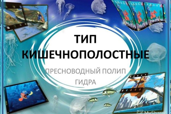 Kraken маркетплейс официальный