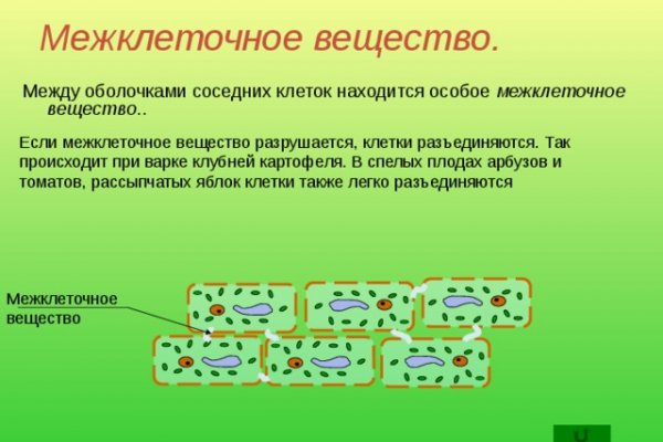 Кракен новое зеркало