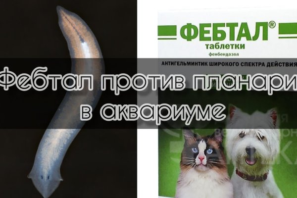 Кракен сайт пишет пользователь не найден